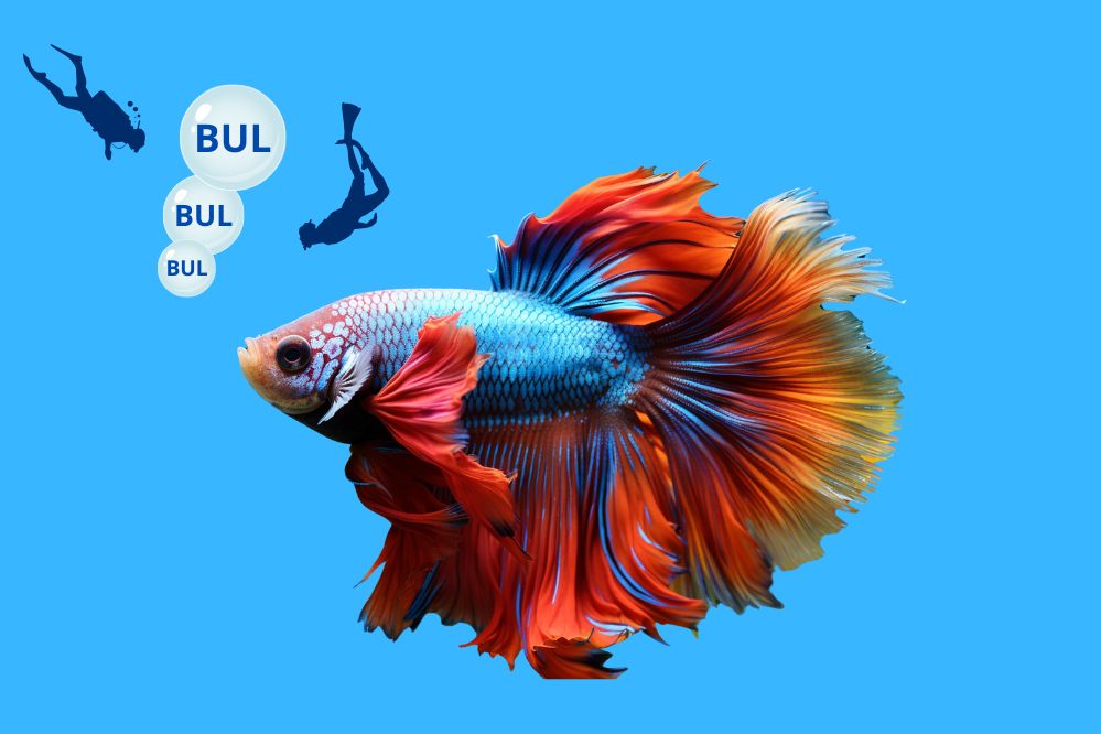 Kolorowa rybka wypuszcza trzy bąbelku bul bul bul wokół nich pływa dwóch nurków.